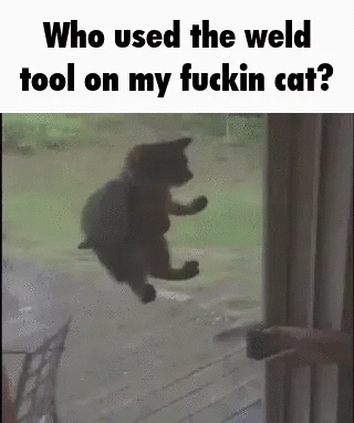 Meme 39