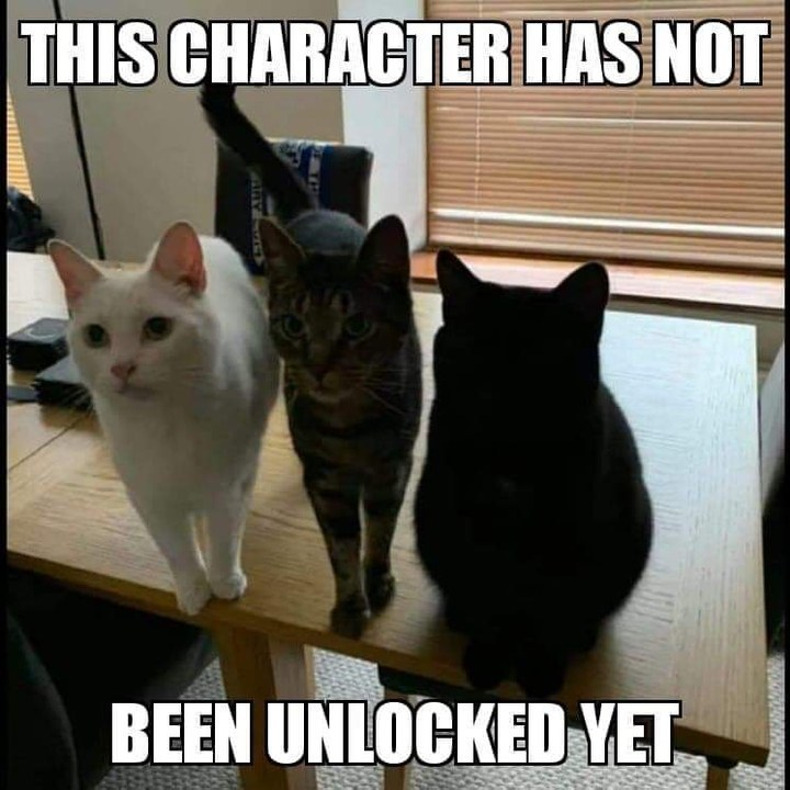 Meme 45