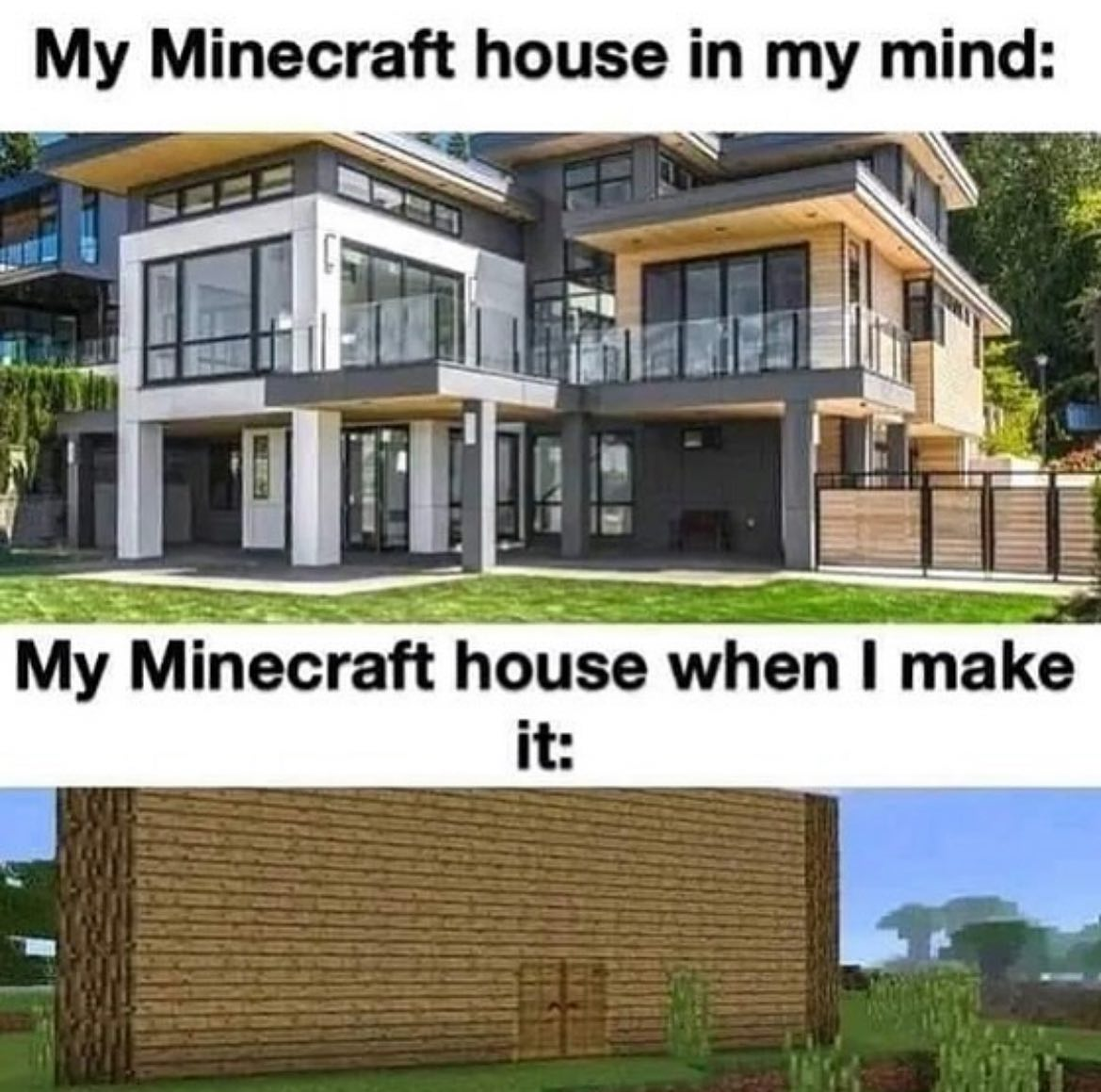 Meme 47