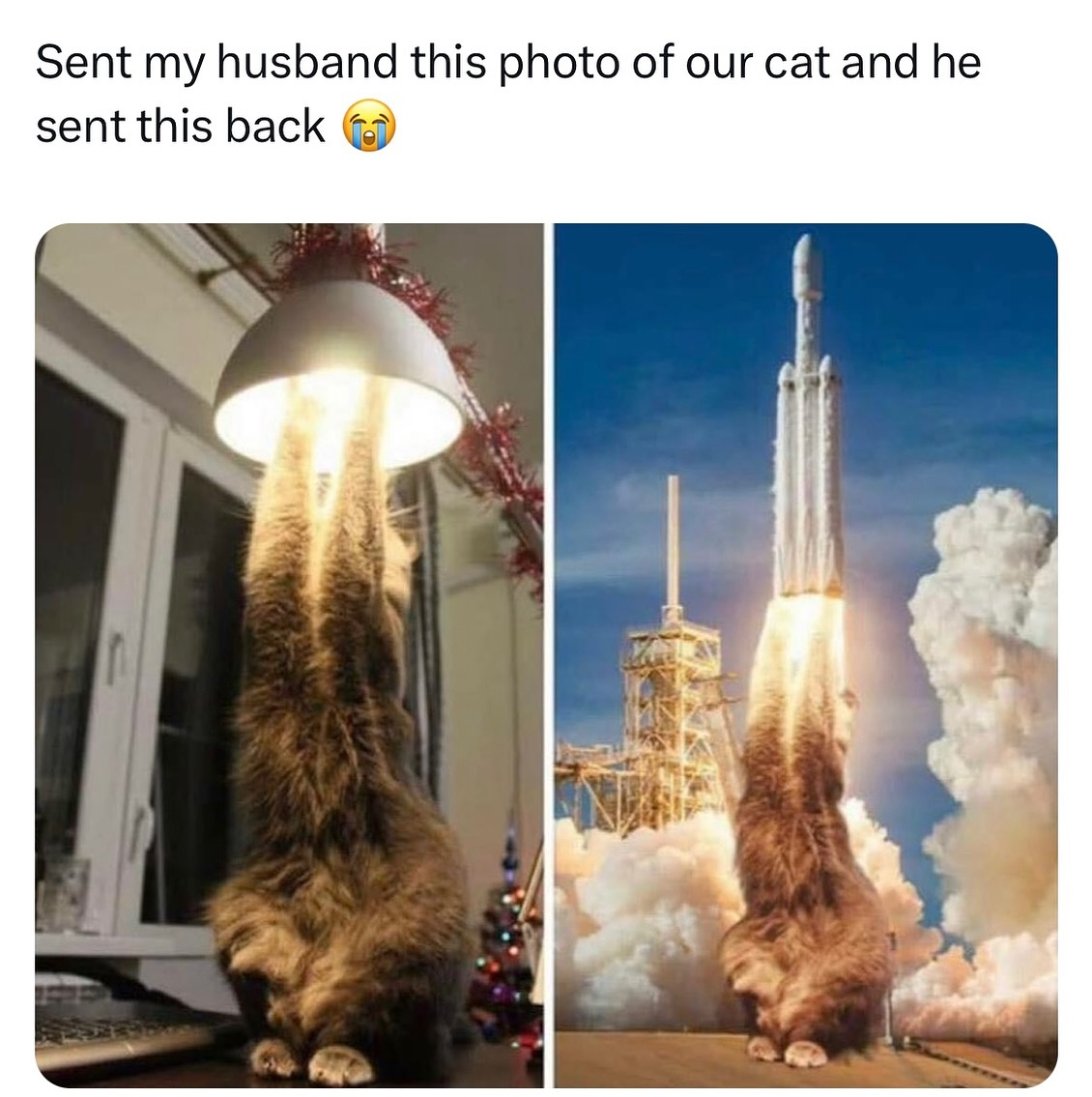 Meme 52