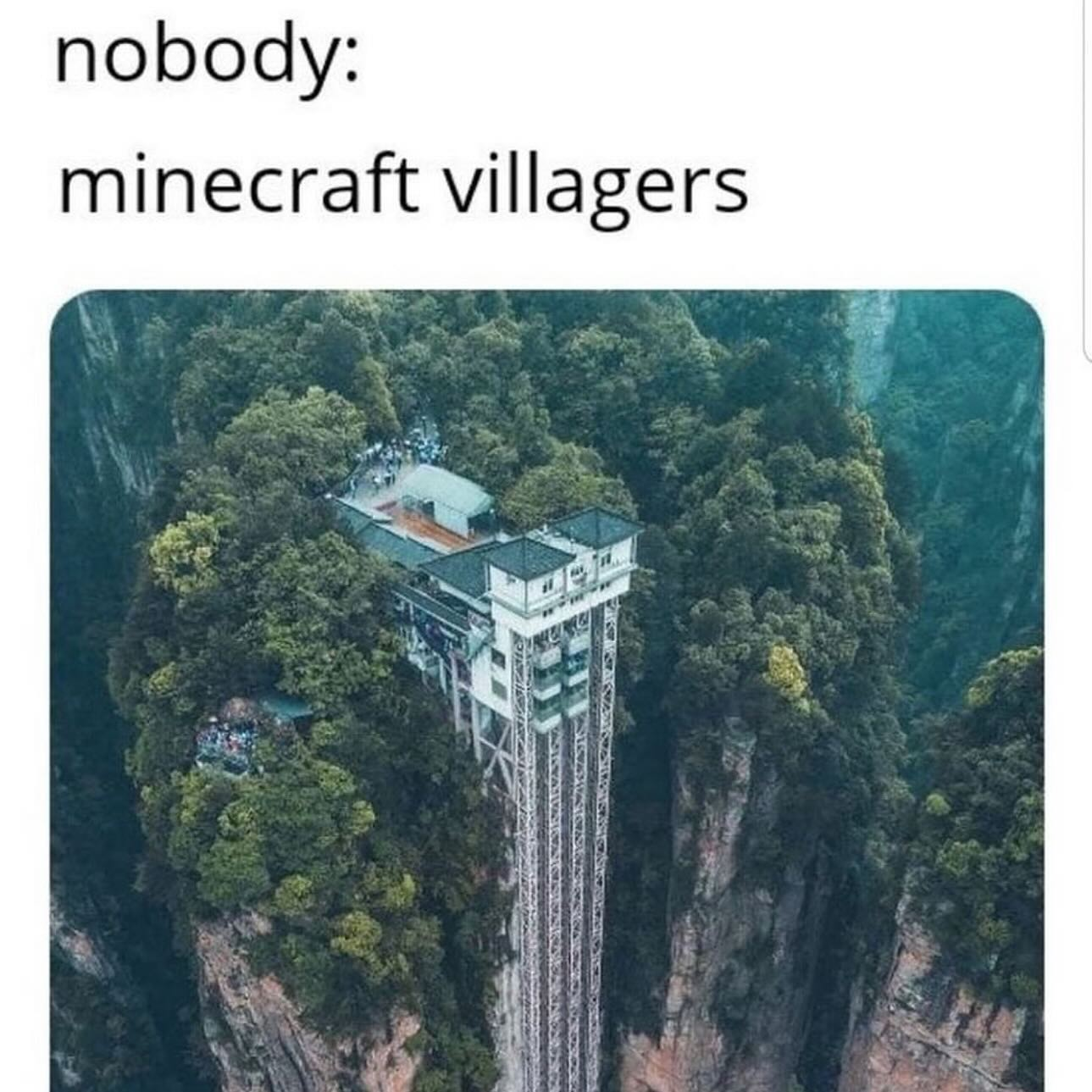 Meme 66